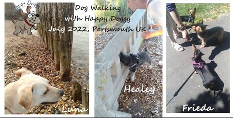 Dog Walking - Weekly Highlights ✰