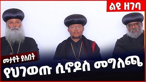 #Ethiopia የህገወጡ ሲኖዶስ መግለጫ❗️❗️❗️ Ethiopian Orthodox Tewahdo Church |Abune Mathias |sawiros Jan-25-23