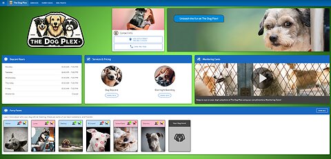 Dog Plex Website - NFT Use Case 3 - Transforming Pet Care with Dig-A-Hash