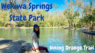 Hiking at Wekiwa springs State Park, Orange Trail