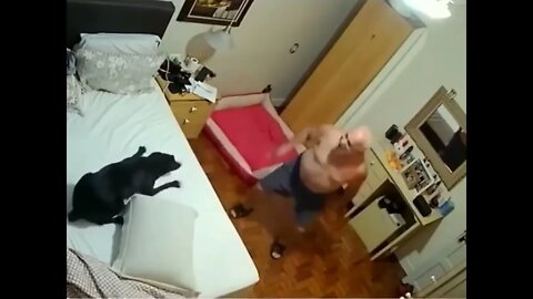 ❤💛 The funny moments shared with Animals - House Cam #shorts 💛❤