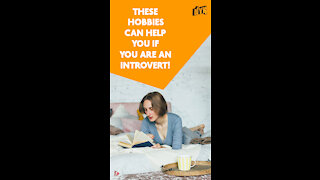 Top 4 Best Hobbies For Introverts *