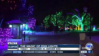 Zoo Lights continues through New Years Eve