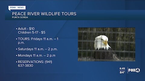 Peace River Wildlife tours