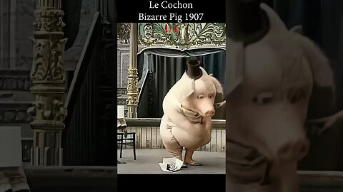 The Bizarre Dancing Pig - Fascinating Spectacle #1907 #history