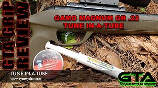 GTA GRiP REVIEW – Gamo Magnum GR .22 TUNE IN-A-TUBE - Gateway to Airguns Airgun Review