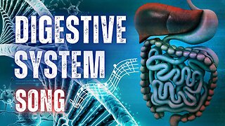 The Digestive System Song with Lyrics