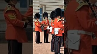 Grenadier Guard drumming Buckingham Palace #horseguardsparade