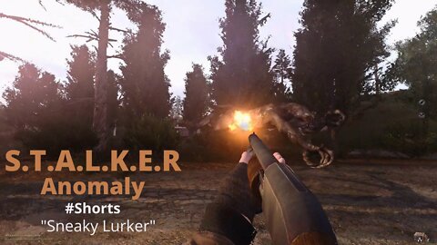 Sneaky Lurker (S.T.A.L.K.E.R Anomaly)
