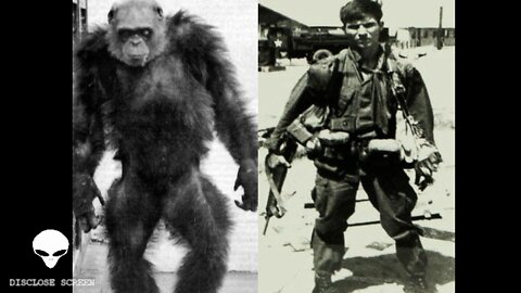 Strange but true stories. No. 2. The Vietnamese Rock Apes.