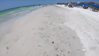 Pinellas County halts fish kill clean-up as red tide begins to dissipate on beaches