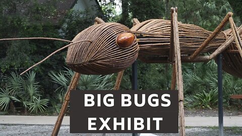 David Rogers Big Bugs Exhibit @ Flamingo Gardens