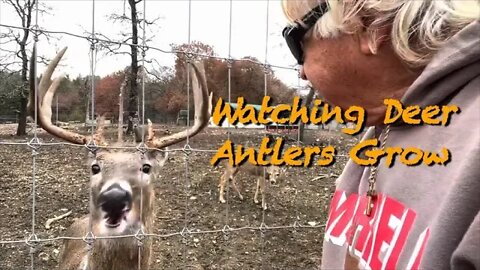 Antlers! Can Whitey Survive! December 9th