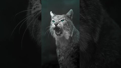 Deep Techno ft. Wild Lynx
