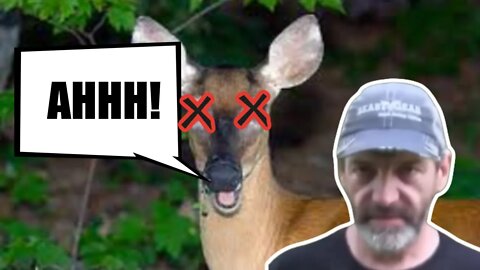 Dan Infalt kills a deer by scaring it to death