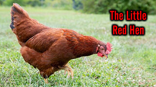 The Little Red Hen