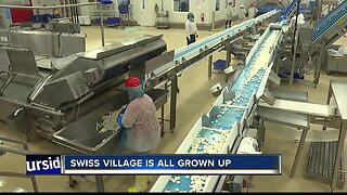 Tour inside a massive Treasure Valley cheese factory
