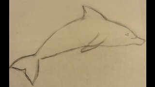 Drawing a Dolphin: For Kids and Beginners