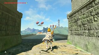 Breath of the Wild Master Mode 102