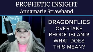 Prophetic Insight: Dragonflies Overtake Rhode Island! What Does This Mean??
