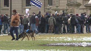 Smaller protest than expected at the state Capitol in Lansing