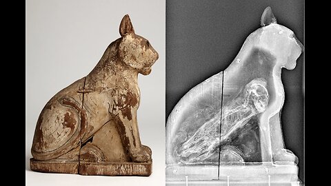 10 scoperte di mummie di animali più bizzarre dell'antico Egitto DOCUMENTARIO gli egiziani mummificavano pure gli animali domestici dei faraoni credendo che nell'aldilà gli facessero poi compagnia non erano sacrifici animali ma i loro animali