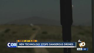 Dropping Dangerous Drones Out of the Sky