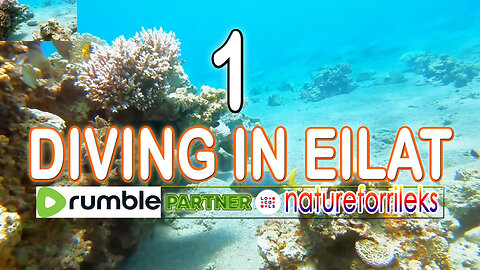 Diving in Eilat Part-1