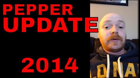 Pepper update 2014