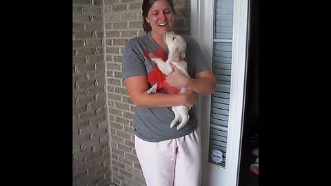 New Puppy Surprise Leaves Woman In Tears