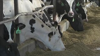 State to purchase unused milk from dairy producers