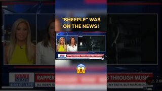 SHEEPLE ON THE NEWS | SCARES THE HELL OUT OF THE ESTABLISMENT