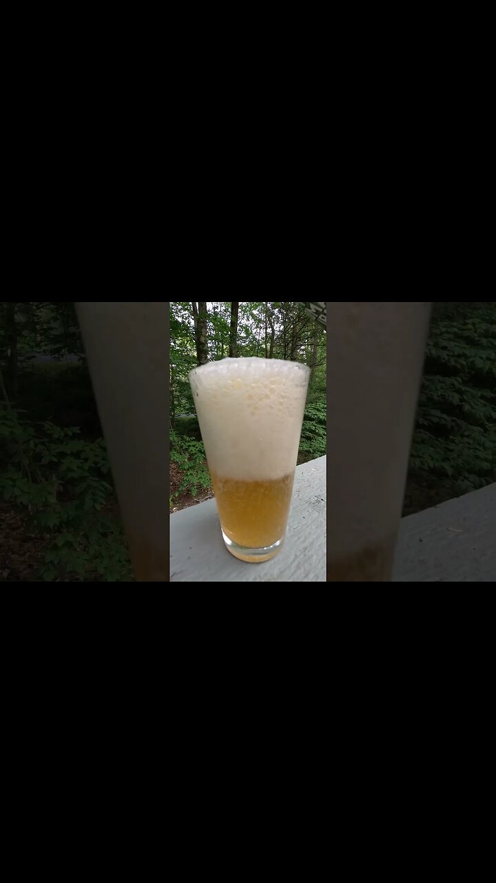 HOPPING NOMAD IPA BEER ADVOCATE visual data 7