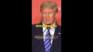 I'm a Person With Common Sense - Donald Trump #shorts