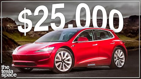Elon Musk Reveals The $25,000 Tesla Is Coming!