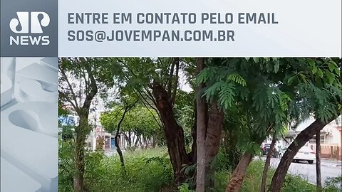 Jardim abandonado preocupa moradores da Zona Norte | SOS São Paulo