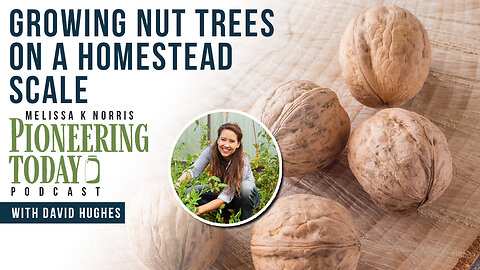 EP: 421 Growing Nut Trees on a Homestead Scale (What You Need to Know)
