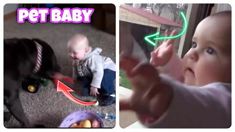 Funny babies and animal video The best adorable baby and animal complilation second