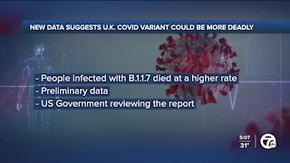 CDC reviewing new data that suggests coronavirus variant identified in UK could be more deadly