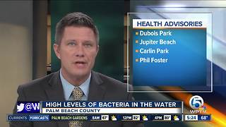 Health advisory issued at 7 beaches in Palm Beach County