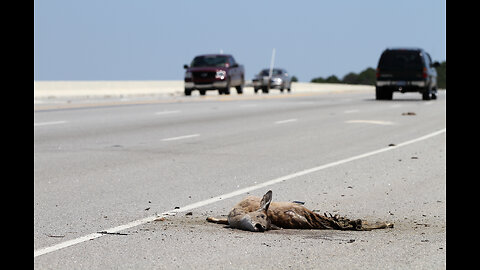 WE ARE ALL ROAD KILL ON THE ROAD TO HELL-ERNIE HANCOCK