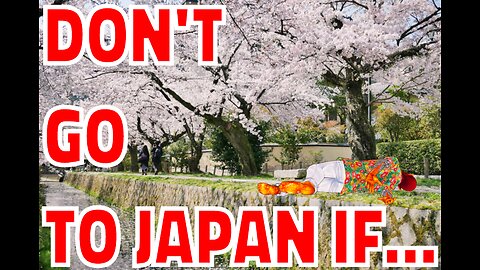 Onii-san's Guide to Vacationing in Japan #vtuber #japan #travel