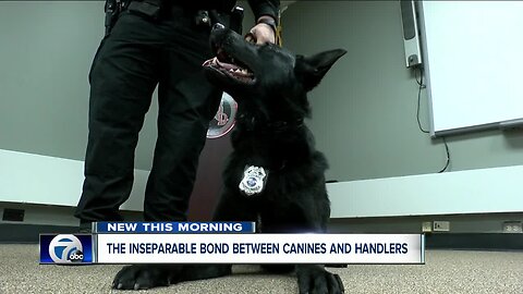 The inseparable bond between K9s and their handlers