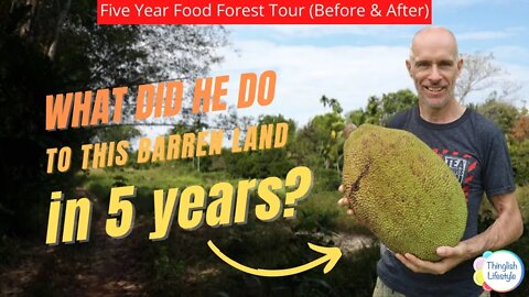 Five Year Food Forest Tour (Before & After) #Permaculture