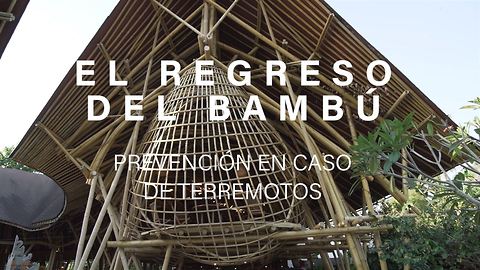 El regreso del bambú