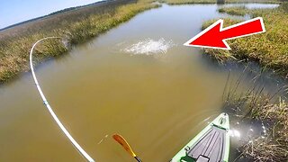 CLIPS | Sight Fishing and Tagging Big Redfish!