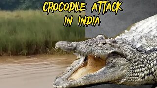 Crocodile Eats woman in India
