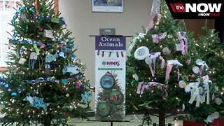 The Milwaukee County Zoo is offering free admission for the holidays