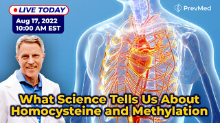 What science tells us about Homocysteine & Methylation (LIVE)