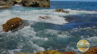 Sounds of the ocean waves crashing on rocks in the Caribbean Sea